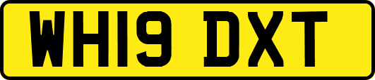 WH19DXT