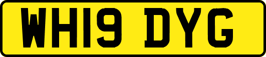 WH19DYG