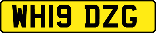 WH19DZG