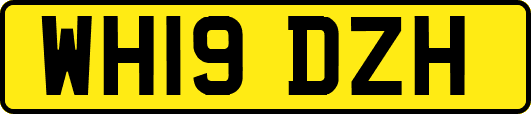 WH19DZH