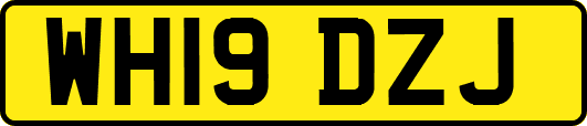 WH19DZJ