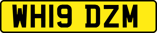 WH19DZM