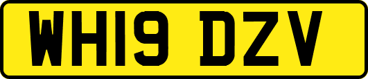 WH19DZV