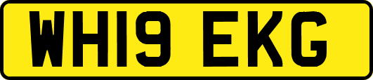 WH19EKG