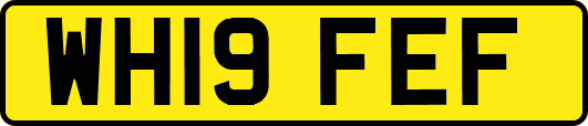 WH19FEF