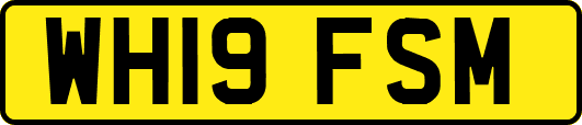 WH19FSM