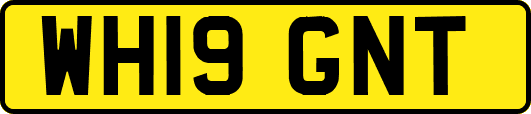 WH19GNT