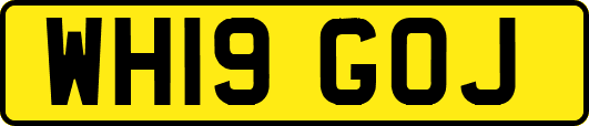 WH19GOJ