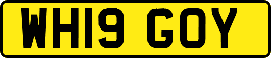 WH19GOY