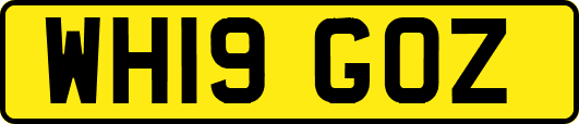WH19GOZ