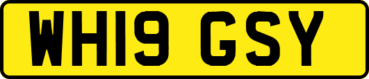 WH19GSY