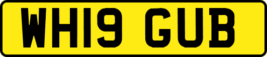WH19GUB