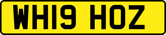 WH19HOZ