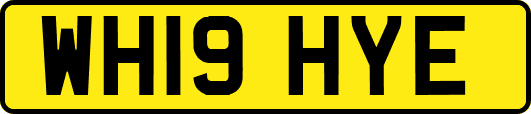 WH19HYE