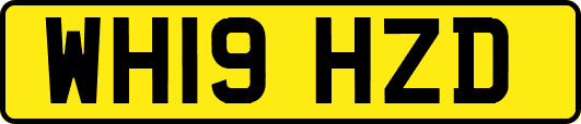 WH19HZD