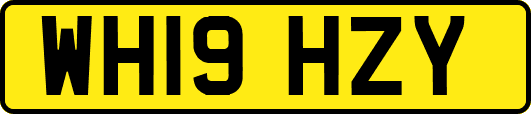 WH19HZY