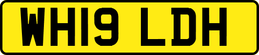 WH19LDH