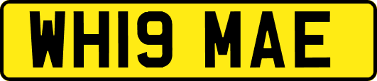 WH19MAE