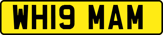 WH19MAM