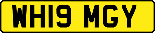 WH19MGY