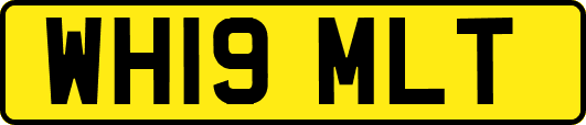 WH19MLT