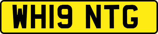 WH19NTG