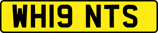 WH19NTS
