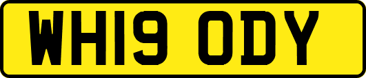 WH19ODY