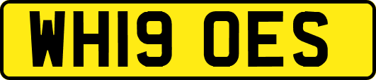 WH19OES