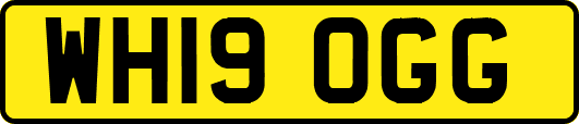 WH19OGG