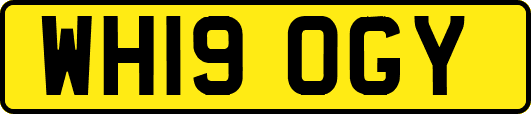 WH19OGY
