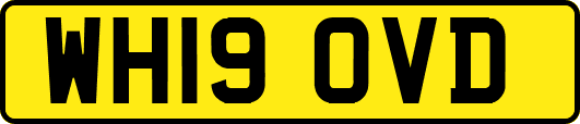 WH19OVD