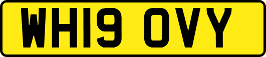 WH19OVY