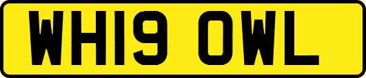 WH19OWL