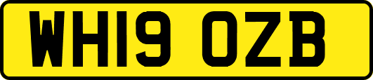 WH19OZB