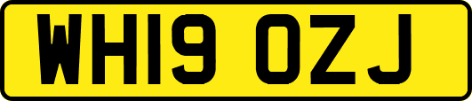 WH19OZJ