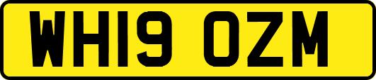 WH19OZM