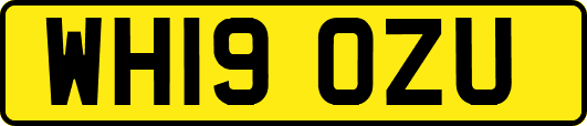 WH19OZU