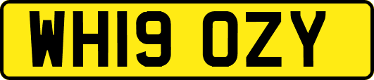 WH19OZY