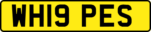 WH19PES