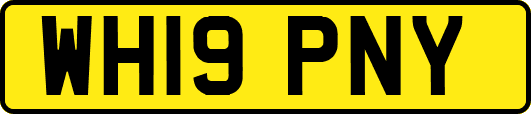 WH19PNY