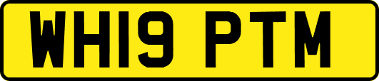 WH19PTM