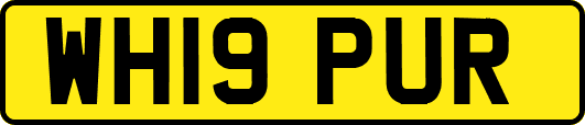 WH19PUR