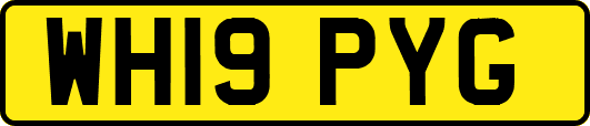 WH19PYG