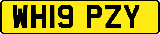 WH19PZY