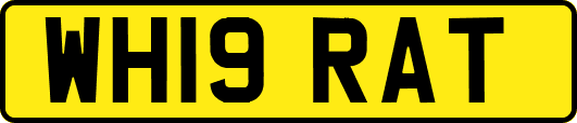 WH19RAT