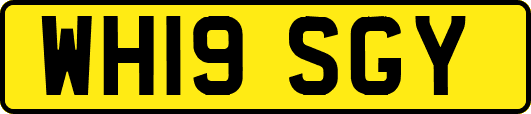 WH19SGY