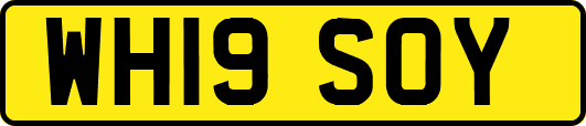 WH19SOY