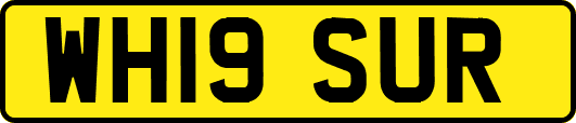 WH19SUR