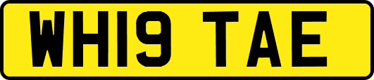 WH19TAE